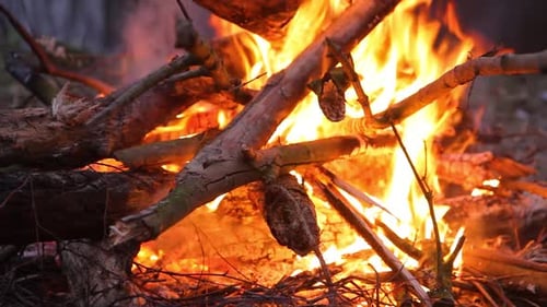 Close-up of a burning campfire with logs and branches, glowing flames, and flickering embers in an o