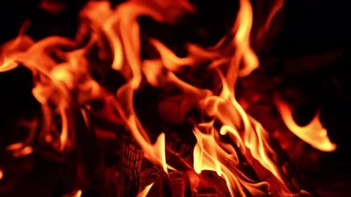 Small fire flames on the logs of wood. Comforting view of bonfire burning at night. Close up.