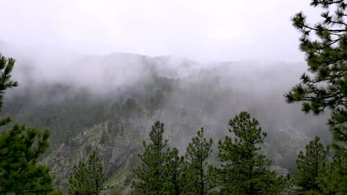 Mountain fog thin mist moves over rocky forested mountain, moody weather