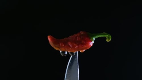 Red Chili Pepper Balanced on Knife with Water Droplets