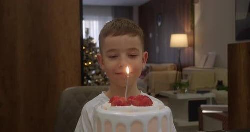 Happy Boy Blowing Out Birthday Candle on Cake
