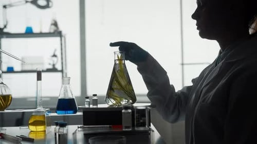 Une plante dans un erlenmeyer pour une expérience en gros plan La femme scientifique prend le flacon et