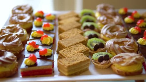 various desserts on a plate back lit by daylight coming from a window