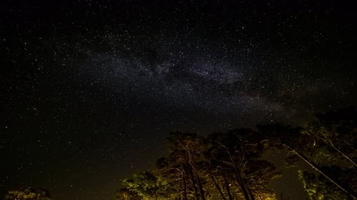 Night Sky Time Lapse. Stars and Milkyway over Forest.