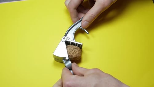 Nutcracker Cracking Walnut on Yellow Background