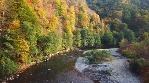 Aerial shot of a river flowing surrounded by an autumn mountain forest