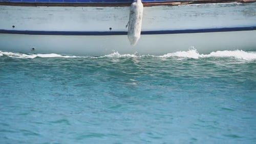 Side View of Moving Motorboat Fast Yacht Floating Along Sea Bay Splashing Calm Water Surface Close