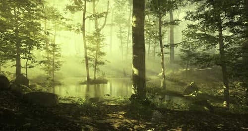 Misty Forest Landscape with Serene Pond and Sunlight Filtering Through Trees