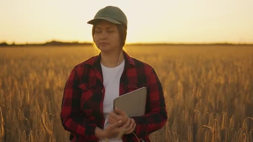 A Woman Agronomist Walking Through a Field with a Tablet Checking the Harvest