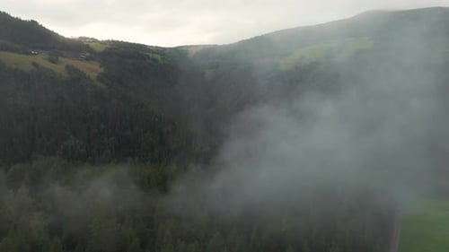 Aerial Flying Through Misty Fog Over Forest Trees