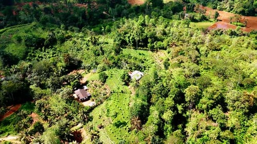 Panning footage above the green tropical forests.