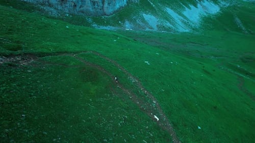 Person walking their dog up a mountain on a path.