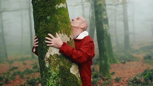 Senior Hugging Mossy Tree in Misty Forest