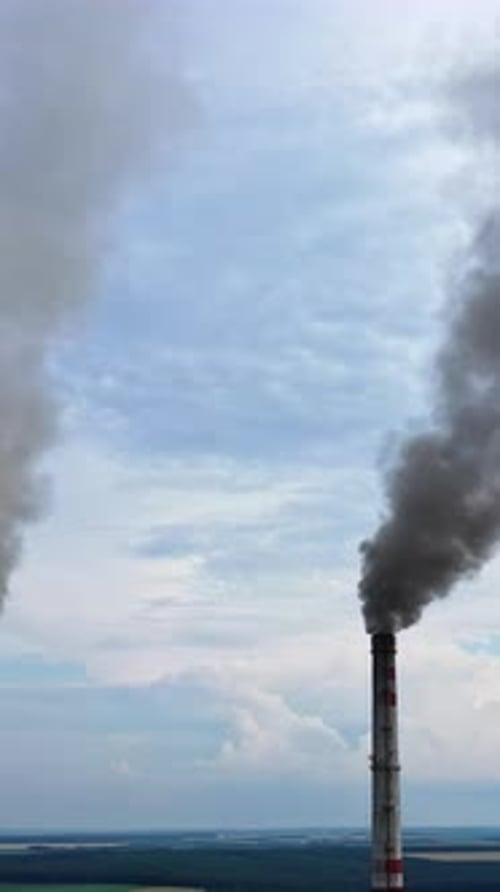 Pipes Throwing Smoke In The Sky. Industrial zone with large smoke from the factory pipes