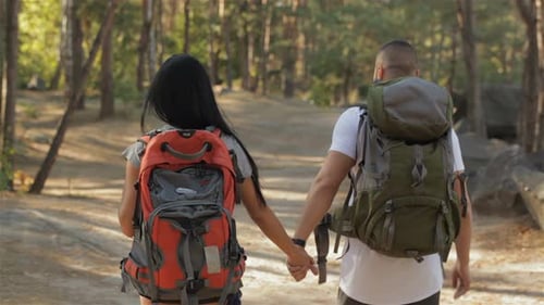 Casal de caminhantes continua caminhando na floresta