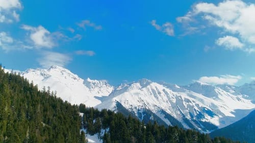 Árboles y montañas de gran altitud