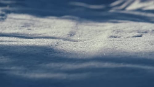 Picturesque Snow Surface Shining on Sunlight Wintertime Close Up. White Soft Snowy