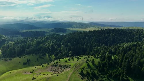 Aerial Drone View of Forest with Wind Turbines