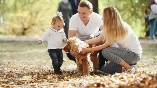 Cheerful young family have a rest in autumn park together and petting dog