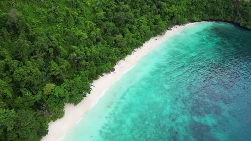 Stunning Aerial View of a Tropical Beach Paradise
