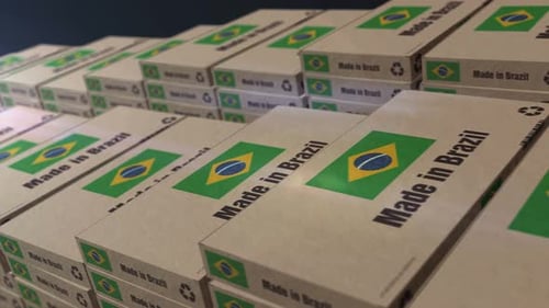 Made in Brazil box pack production loopable seamless