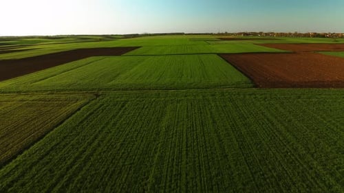 Vue aérienne époustouflante de vastes champs agricoles luxuriants sous un ciel bleu clair