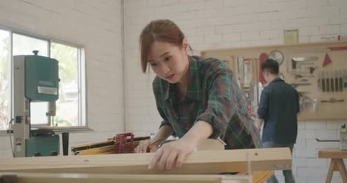 Two carpenter teamwork male and female building design wood house