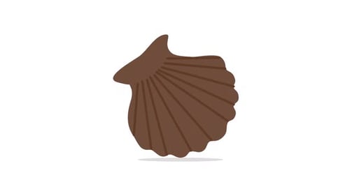 Sea Shell | including alpha