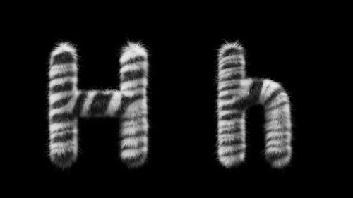 Animação 3D de uma letra de lã Zebra maiúscula e minúscula H