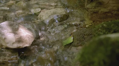 The Flow of a Small Mountain River in Closeup CREATIVE Clear River Water Flows Over Rocks with a
