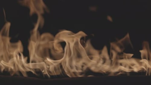 Feuer, brennende, helle Flammen auf schwarzem Hintergrund, Feuer in Zeitlupe, Wand aus echtem Feuer