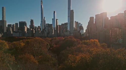 New York City Central Park Top View with Autumn Tree Autumn Central Park View From Drone Aerial of