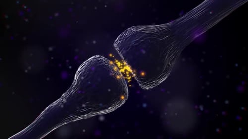 Neural Communication: Synapse Firing Electrical Impulses Animation