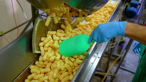 Lots of yellow crispy corn sticks fall on the conveyor line.