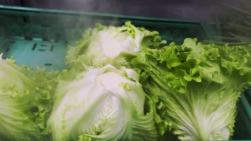 Vegetables That Stay Fresh With Water Steam At The Market 3