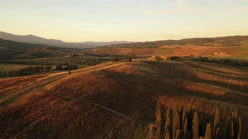 Aerial view of Tuscan landscape, Italy.