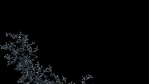 Animated Swarm of Flying Bats Overlay