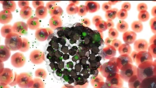 Cancer cells attacking healthy cells in bloodstream