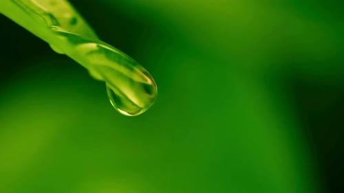 Water Drop Falling