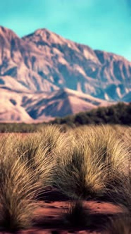 Arid Desert Landscape With Distant Mountains