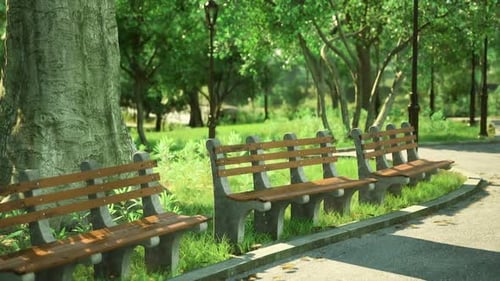 Natural Park Environment with Empty Benches Background