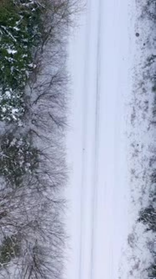 Snowy road in woodland. Amazing view on a way in winter forest in snowy weather.