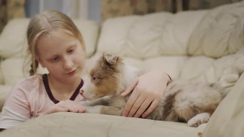 Girl Playing with a Puppy on the Couch in Her House