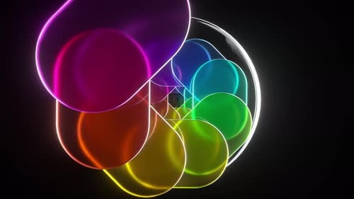 Nautilus Shell Rotating and Expanding Revealing Iridescent Rainbow Colors Against Deep Black