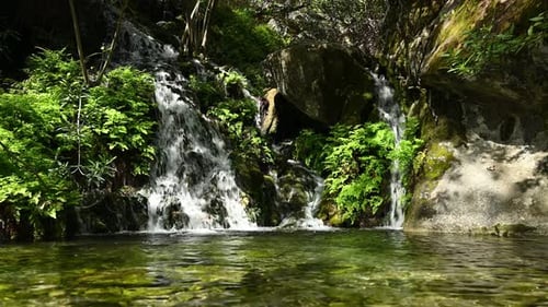 Szenische statische Aufnahme von Frühlingsbächen im Wald