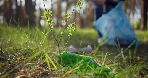 Una mujer recoge basura de una pila que yace en el bosque y la coloca en una bolsa de plástico