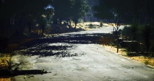 Winding Dirt Road Surrounded By Trees and Brush During Daytime in Nature