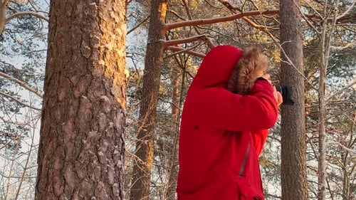 Photographer taking landscape photos in a forest during winter.