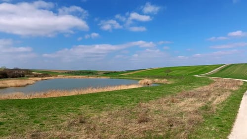 Idyllic Scenery Of Green Fields And Pond With Reeds - Aerial Drone Shot