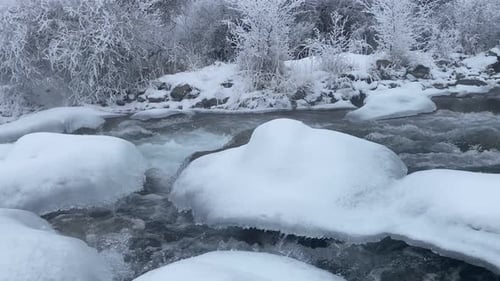 Mountain River Stream in Winter and Snow View on the River and Forest at the Winter Time Natural